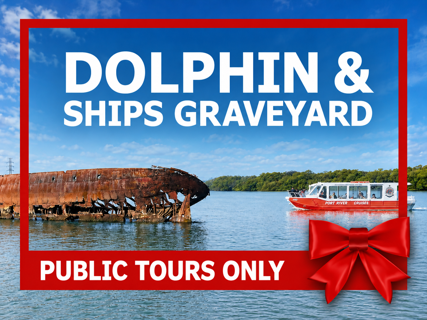 90-minute Port River Dolphin and Ships Graveyard Cruise gift card