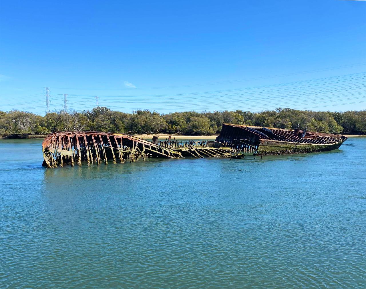 Disability Group Dolphin and Ships Graveyard Cruise