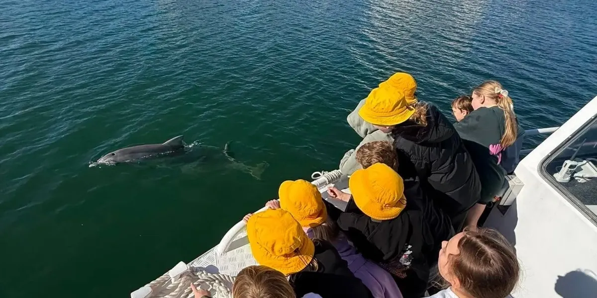 School Dolphin and Maritime Education Cruise