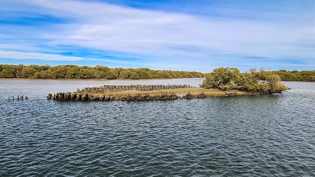 Port River Cruises gift cards