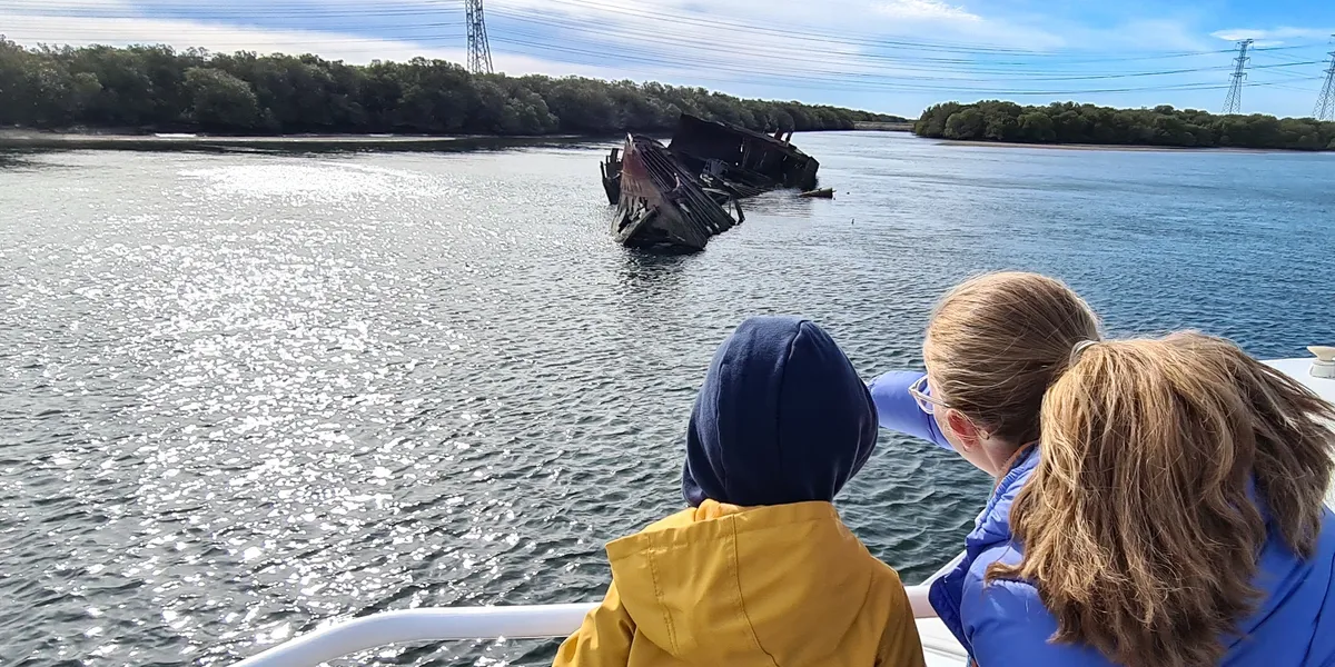 OSHC Dolphin and Ships Graveyard Cruise